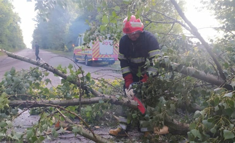 На Старокостянтинівщині повалене дерево перегородило дорогу