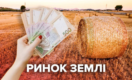 На Хмельниччині запрацював ринок землі – продали перших 178 гектарів