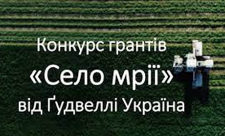 Конкурс ґрантів "Село мрії" від "Ґудвеллі Україна": хто отримає фінансування на реалізацію проєктів