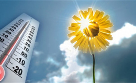 Погода в Кагарлику та Ржищеві на тиждень - з 9 по 15 серпня