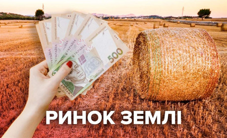 Скільки сільськогосподарських земель розкупили в Запорізькій області