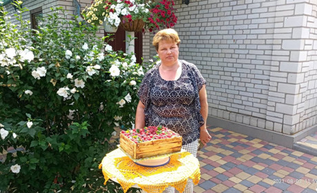 «Смачне» захоплення: як вчителька стала «солодкою леді» на селі