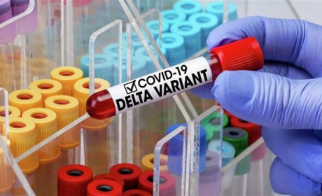 Штам «Дельта» вже добрався до Рахівщини