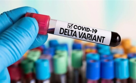 У 6 містах Хмельницької області виявлено штам коронавірусу “Дельта”