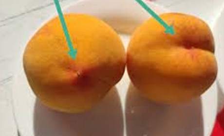 Персики «хлопчики» – солодші, а «дівчатка» з кислинкою. Розповідаємо, як їх відрізнити