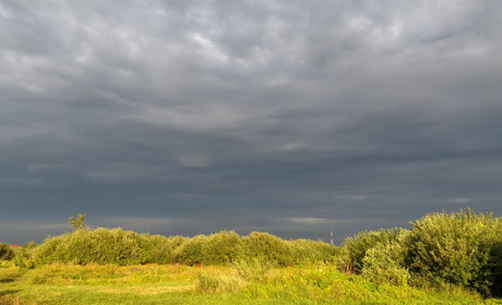 Дощ лише на старті: як зміниться погода на Сарненщині