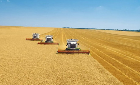 Запорізькі аграрії зібрали найбільший урожай за всі роки незалежності України