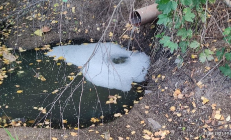 Каналізацію проклали до водойми: на Сарненщині шукали порушників благоустрою