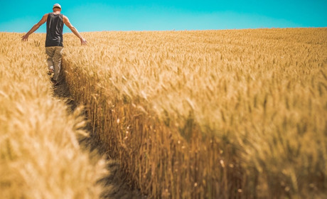 Як укласти договір купівлі-продажу земельної ділянки: розповідають правники