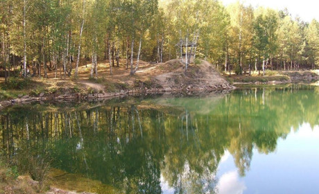 На Сарненщині потонув листоноша: управління держпраці провело розслідування