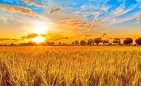 Синоптики радують прогнозом на День незалежності України: про погоду в Южноукраїнську цього тижня