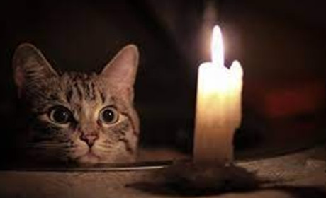 Графік відключень електроенергії Кіцманським РЕМом 1-10 вересня