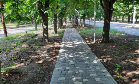 «Паркове господарство» замовило ремонт системи поливу на Каштановій алеї