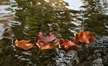 Погода на 30 серпня - 5 вересня: яким буде початок осені