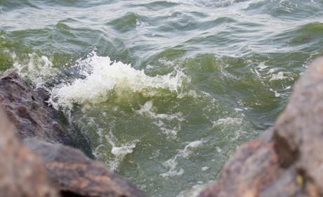 Останній день літа у миттєвостях і хвилях Каховського водосховища: фотозвіт