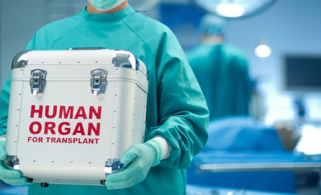 У «Дію» додадуть розділ, у якому кожен зможе дати згоду стати донором після смерті