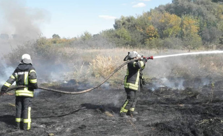 Вогнеборці загасили три пожежі за тиждень в Троїцькій громаді