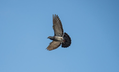 Свята у вересні 2021 року: каледар православних та професійних свят