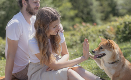 У Гадячі відбудеться марш за тварин
