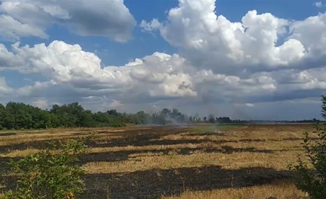 Штрафи на 150 тисяч та покарання до 10 років позбавлення волі за підпалені стерню та листя
