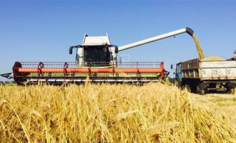 Запорізькі аграрії займають передові місця у загальноукраїнському рейтингу