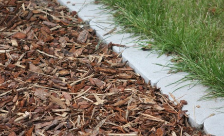 «Міське паркове господарство» придбало кору із сосни, яку використовують у ландшафтному дизайні