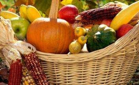 Вересневі роботи в саду і на городі