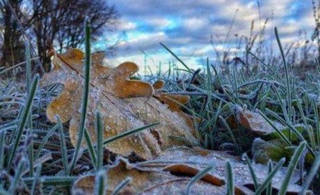 Перші заморозки в Україні прогнозують вже наступного тижня