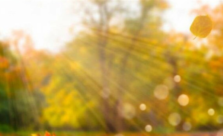 Погода в Кагарлику та Ржищеві на тиждень - з 6 по 12 вересня