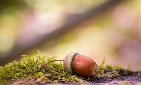 Погода на 6-12 вересня: "бабине літо" в роспалі