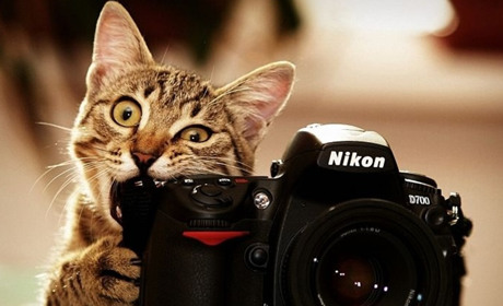 “Погодні явища вашої області”: Укргідрометцентр оголосив фотоконкурс