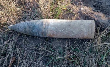 В Суховерхові в лісосмузі знайшли артснаряд часів ІІ Світової війни