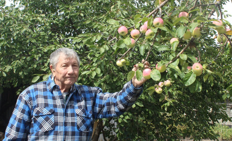 Як троїчанин влаштував вдома казкову фотозону