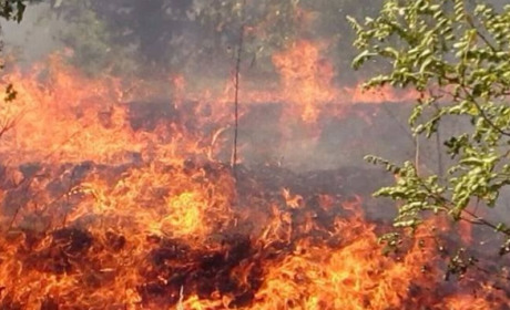 10 вересня на Гадяччині оголосили надзвичайний рівень пожежної небезпеки