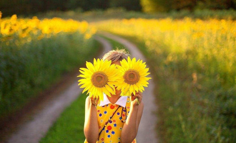 Літній сезон Сірогозщини: температурні рекорди і погодні аномалії