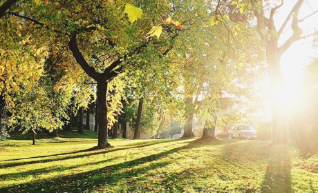 Якою буде погода на Кагарличчині та Ржищівщині на вихідні 11 і 12 вересня