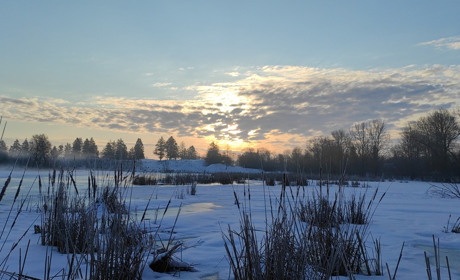 Яку погоду очікувати зимою 2021-2022: прогноз синоптика