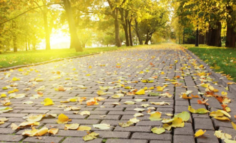 Погода в Кагарлику та Ржищеві на тиждень - з 13 по 19 вересня