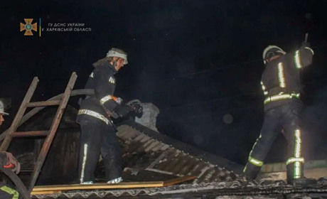 Боролися з вогнем близько чотирьох годин: у Панютиному горів будинок
