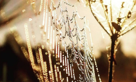 Від тепла до гроз: якою буде погода на Гадяччині протягом тижня