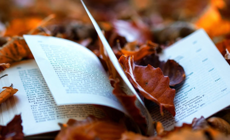 Легке меланхолійне чтиво для осінніх вечорів