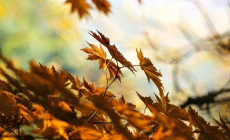 Погода на 13-19 вересня: відчутно похолодає