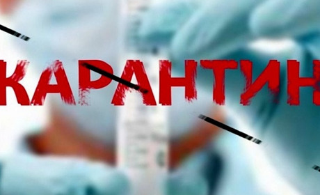 Порушення карантину: скільки випадків зафіксували в Новограді за серпень