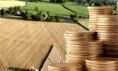 Основні етапи укладення договору купівлі-продажу земельної ділянки