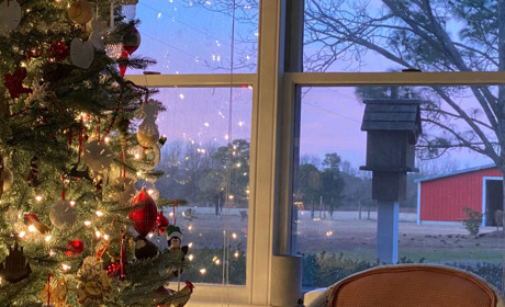 Як вибрати штучну ялинку