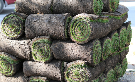 На Каштановій алеї в Нікополі провели систему поливу та укладають рулонний газон: подробиці і фото