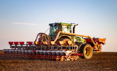 На Полтавщині завершили посів озимого ріпаку