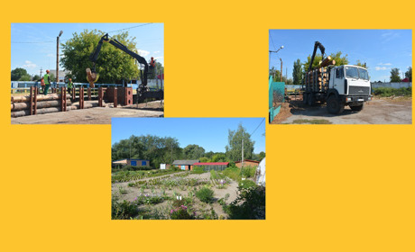 Чи може ліс жити без людини? Один день із життя ДП “Гадяцький лісгоп”: фоторепортаж