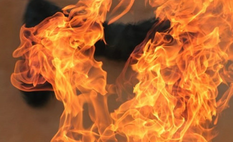 У Новоград-Волинському районі ліквідували пожежу в магазині