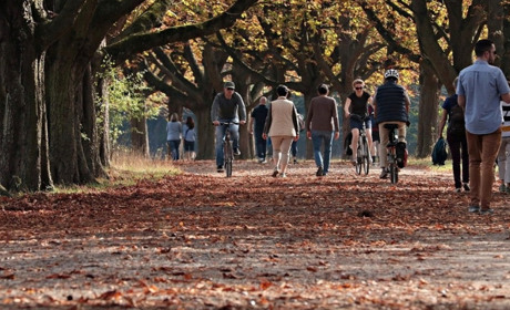 На Запоріжжі +260 захворілих на COVID-19